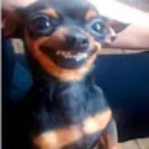 Meet your Posher, Ğëţ